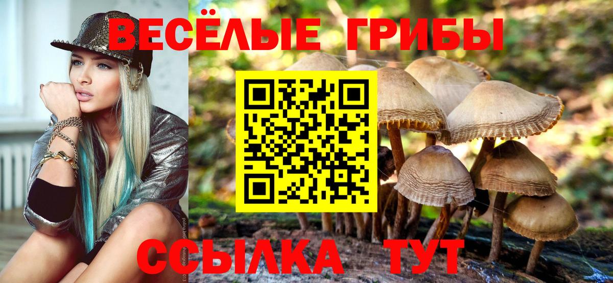 Галлюциногенные грибы Psilocybine cubensis Моздок