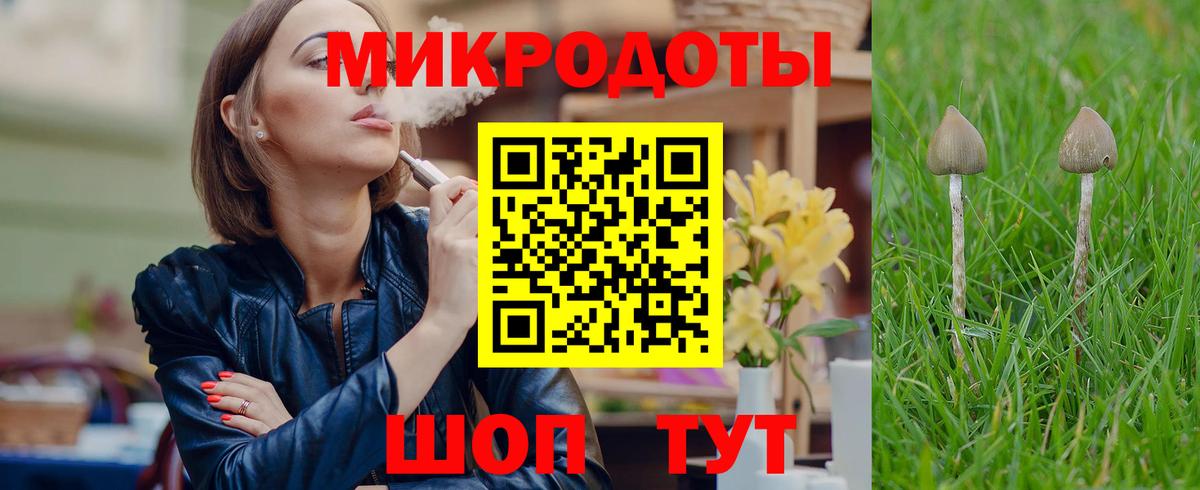 Галлюциногенные грибы Psilocybine cubensis  Вход с VPN  Моздок 
